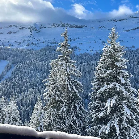 Renove Avec A Flaine, Balcon Ensoleille - Fr-1-425-201 Apartment Araches-la-Frasse